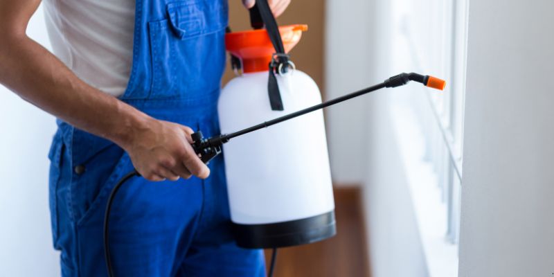 Como Fazer Dedetização em Casa em Porto Velho: 4 Dicas Simples Como fazer dedetização em casa em Porto Velho