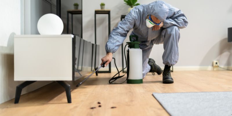 Quanto tempo dura uma dedetização em Porto Velho?